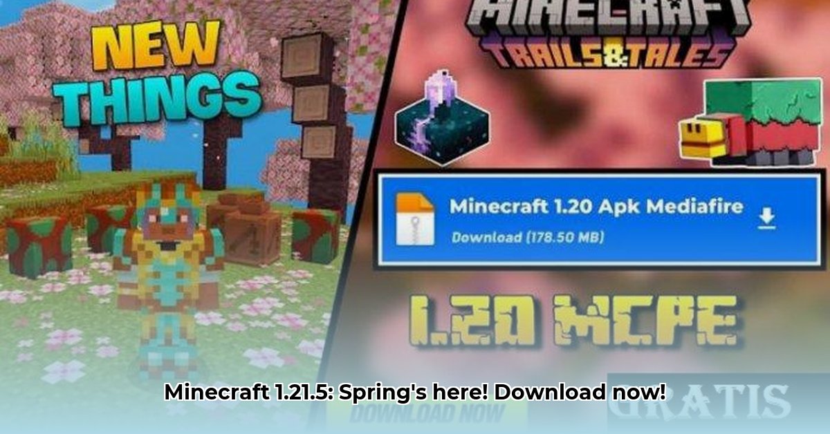 minecraft-download-yang-terbaru